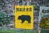 One Dead, One Missing In Japan After Bear Attack