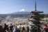 Mount Fuji Cherry Blossom Festival Cancelled Due To Overtourism
