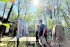 Japan Expert Studies Bekantan Conservation On Curiak Island