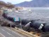Japan Evacuates Tourists for Potential Incoming Tsunami