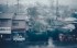 Typhoon Nari Makes Landfall On Japan&#039;s Hokkaido