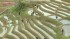 Rice Planting Starts At Quake-Hit Shiroyone Senmaida In Japan&#039;s Noto Peninsula