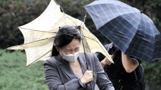 dknd3tx45594fm6sdf86_320_320-7a45c4a1.jpg