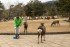 The Squad Saving Deer From Tourist Trash In Nara
