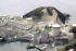 Kansai Electric to Survey Fukui Pref. Site for New Reactor