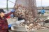 Trump Tariffs Squeeze Some Japanese Food Exporters; Rice, Seafood Producers Fear Negative Impact