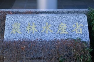 hm5ry6ttv3wi5g7sxbfy_320_320-1f77e528.jpg