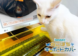 jwhr2owif9zeykwwvyga_320_320-d1c45eee.jpg