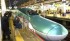 Tohoku Shinkansen Collides with Bear; Services Suspended