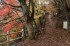 Autumn To Be Cut Short As Harsh Winter Arrives Suddenly