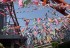 Japan Allows Itself Time Off During The “Golden Week”