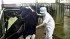 Japan’s Health Ministry To Start Testing AI In Safety Checks On Meat