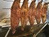 EU Proposes Eel Trade Restriction Despite Japan’s Opposition