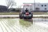 Aichi Rice Production Under Siege from Warming Climate; Record Heat Stunts Crop Growth, Causes Greater Pest Activity