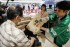 Japan To Release Extra 200,000 Tons Of Gov&#039;t Stockpiled Rice